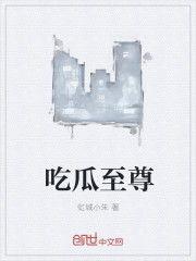 吃瓜本尊小说免费阅读,揭秘娱乐圈背后的秘密  第2张